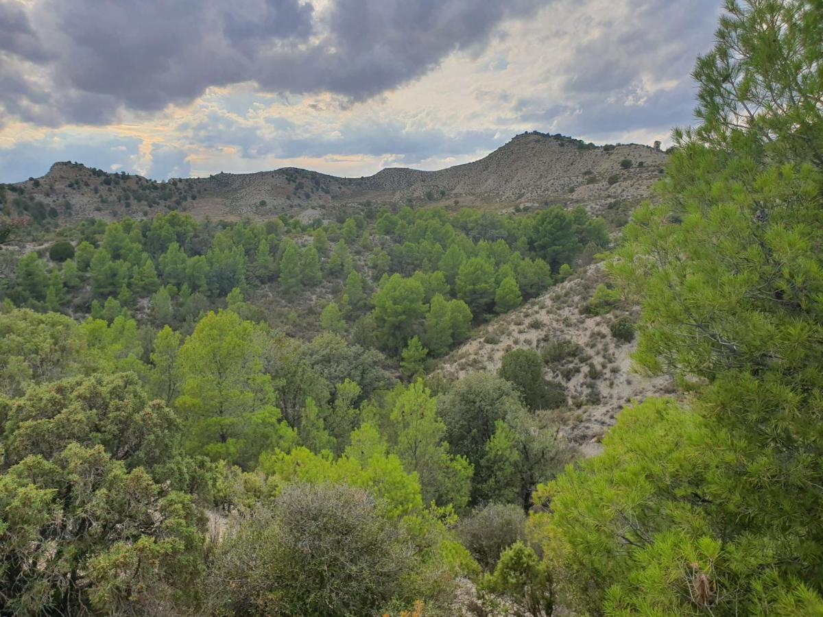 Amanece Monegrillo Apartamentos Εξωτερικό φωτογραφία