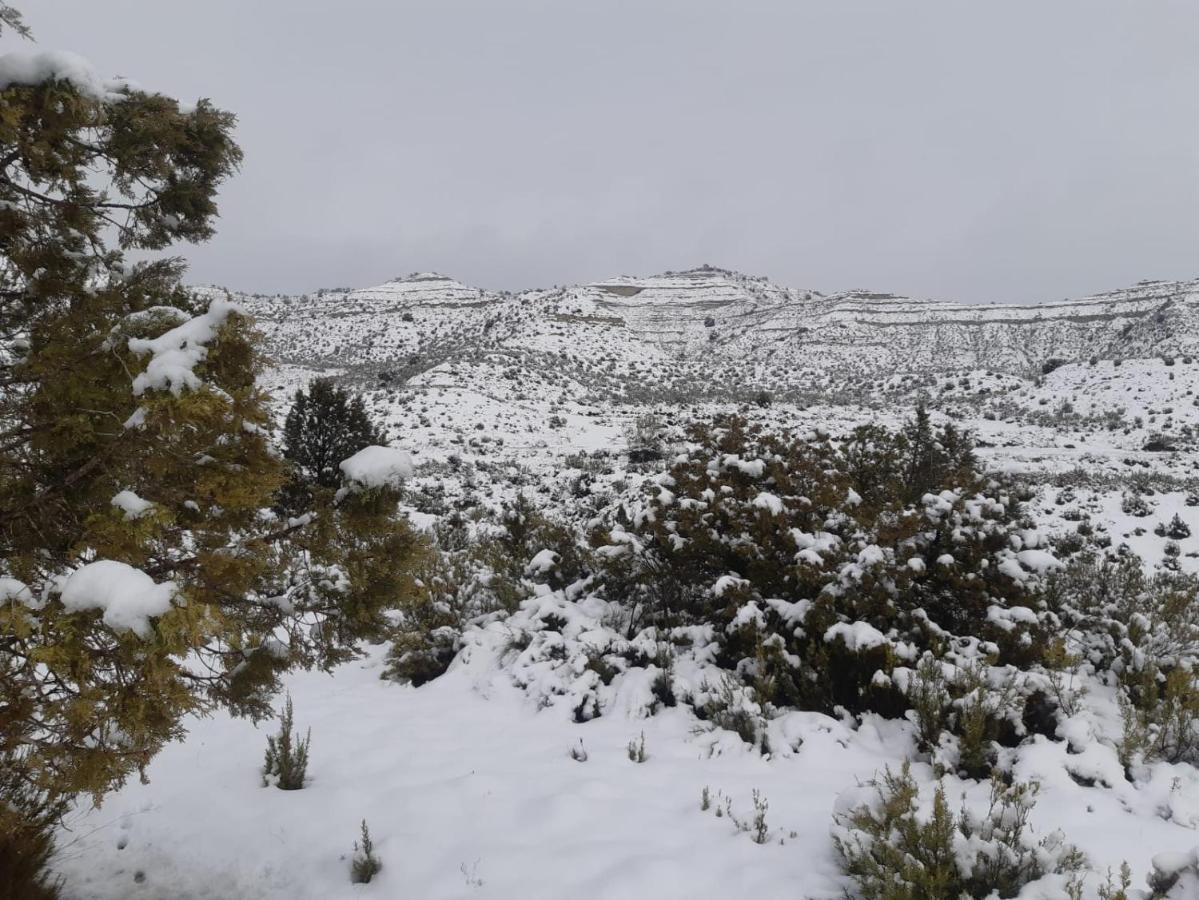 Amanece Monegrillo Apartamentos Εξωτερικό φωτογραφία