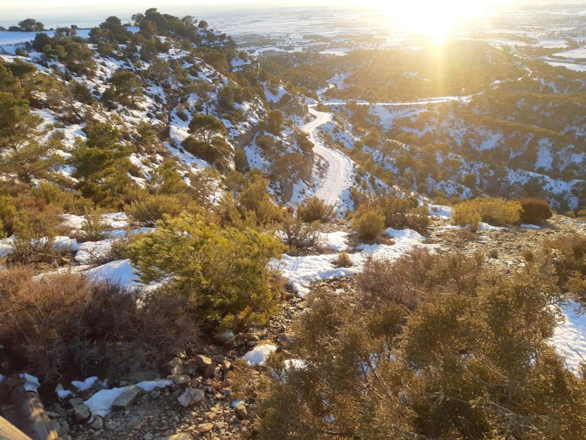 Amanece Monegrillo Apartamentos Εξωτερικό φωτογραφία